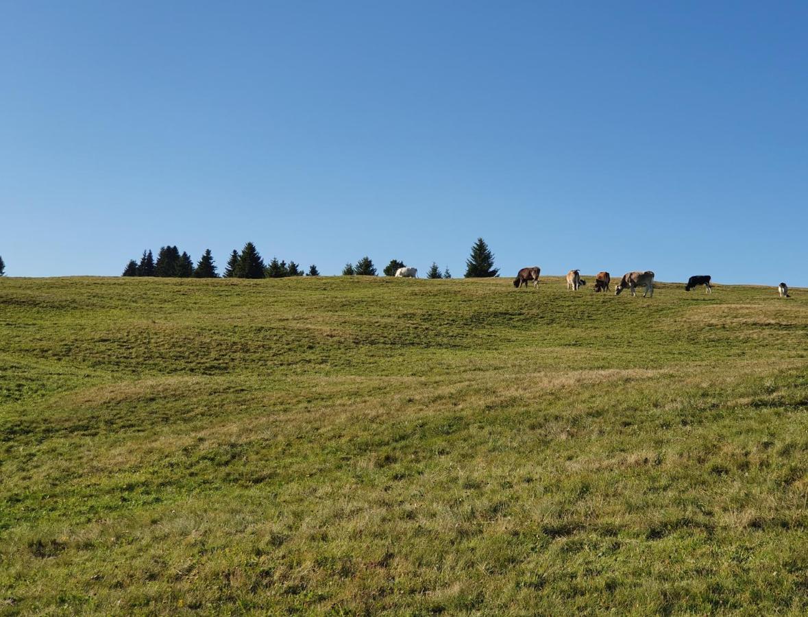 Naturhotel Runa Rodengo Kültér fotó