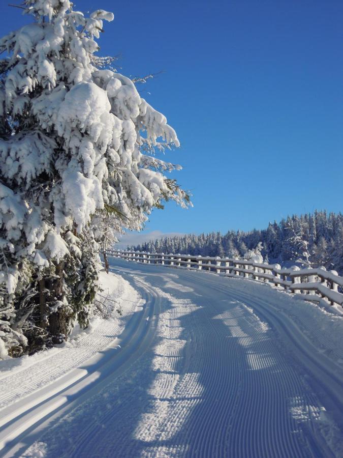 Naturhotel Runa Rodengo Kültér fotó
